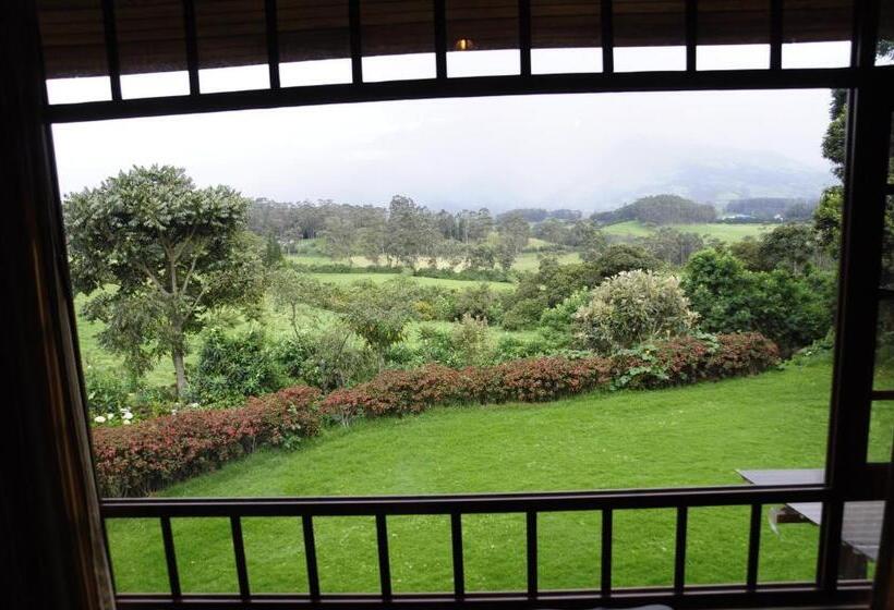 Номер Стандарт, Hacienda La Alegria