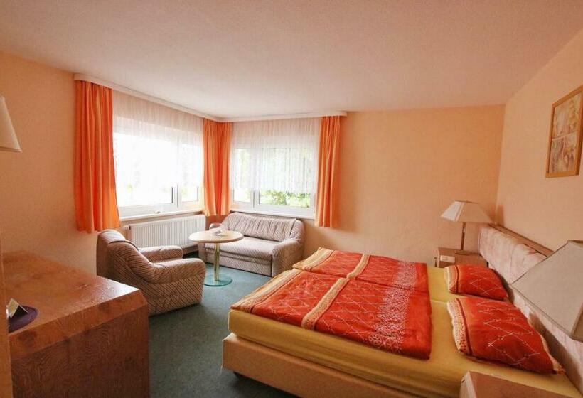 Номер Стандарт, Pension  Zu Den Linden Trin