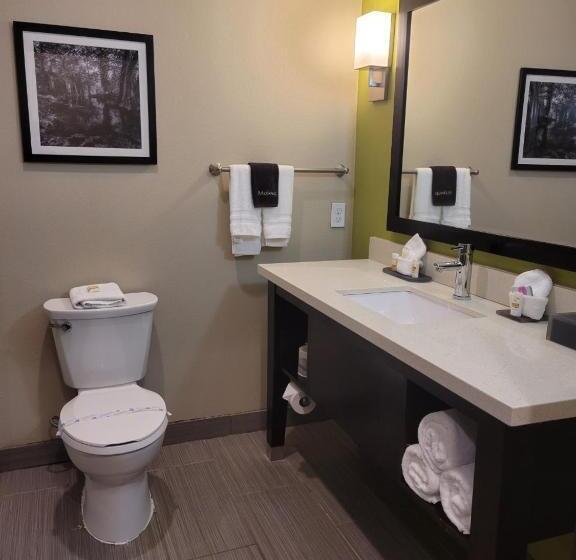Номер Стандарт Кровать Кинг Адаптированный для Инвалидов, La Quinta By Wyndham Tyler   University Area