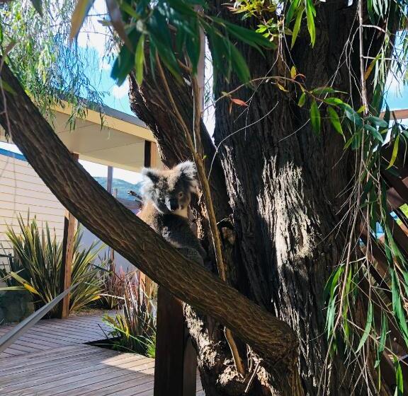 Стандартный Номер Кровать Кинг, Sandpiper Motel Apollo Bay