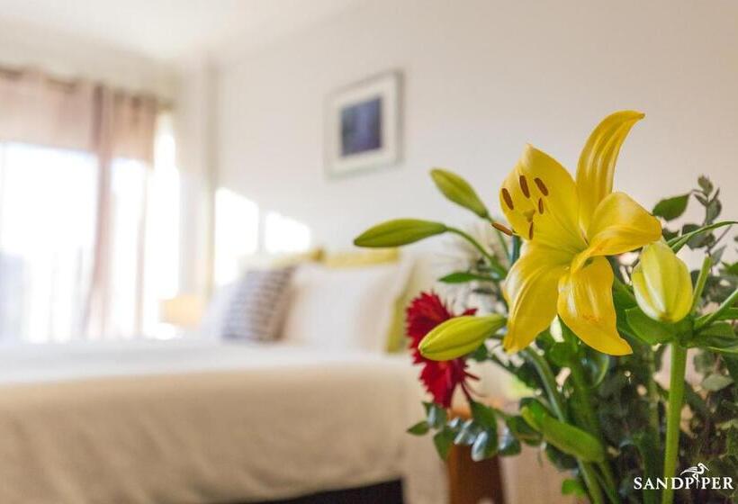 Номер Стандарт Внутренний, Sandpiper Motel Apollo Bay