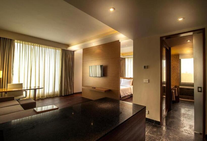 带大床的套房, Hyatt Place Hampi