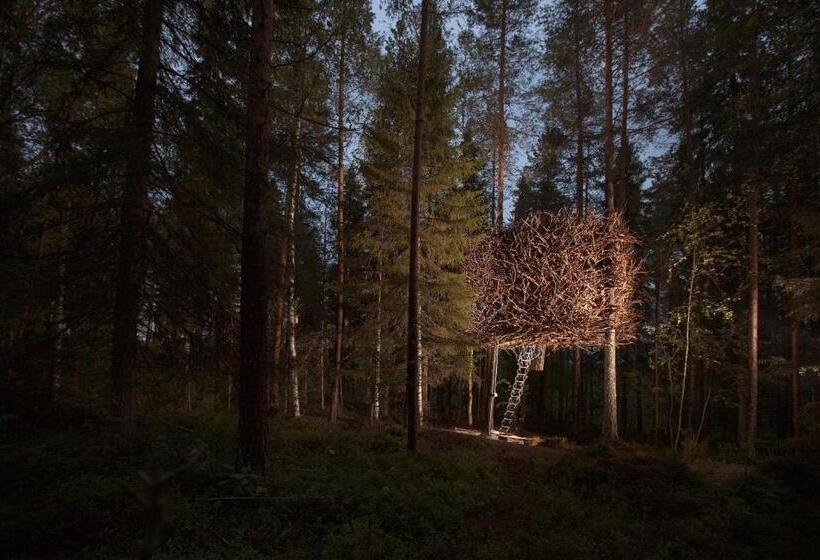 标准间, Treehotel