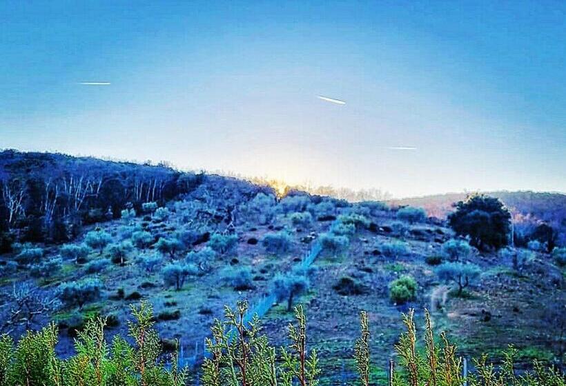 Номер Дюплекс, Rifugio La Foresta
