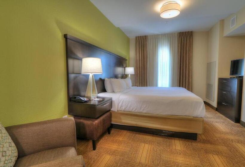 Студия Стандарт, Staybridge Suites Knoxville West, An Ihg