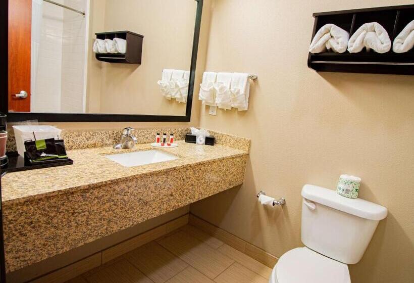 Люкс Кровать Кинг, Surestay Plus Hotel By Best Western Owasso Tulsa North