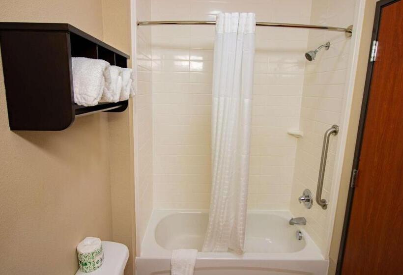 Номер Стандарт, Surestay Plus Hotel By Best Western Owasso Tulsa North