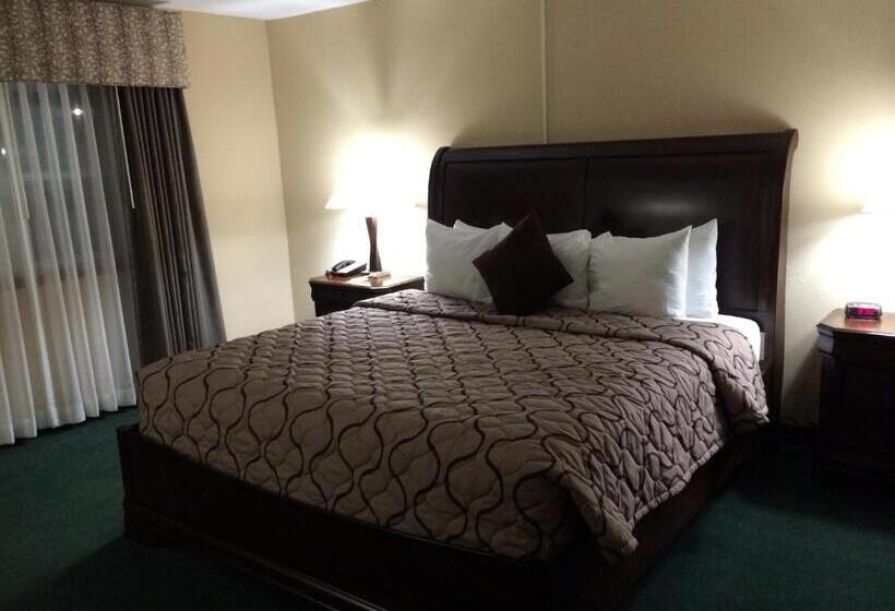 Стандартный Номер Кровать Кинг, Pacer Inn & Suites Motel