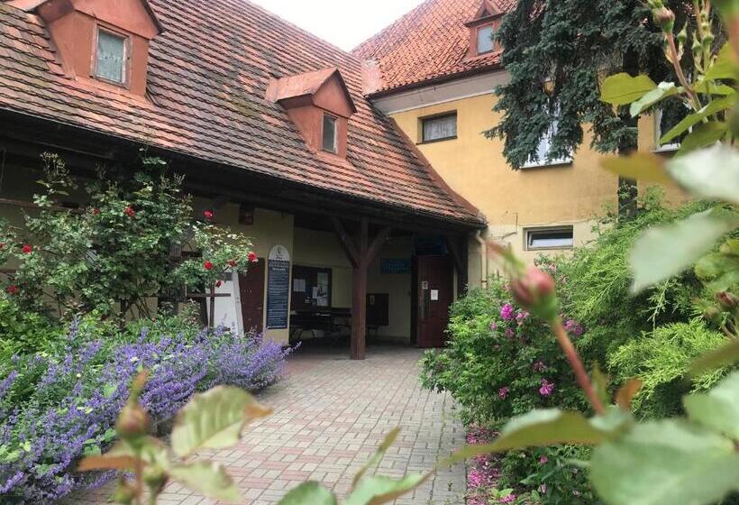 اتاق استاندارد با سرویس بهداشتی مشترک, Noclegi Jachtklub Elbląg