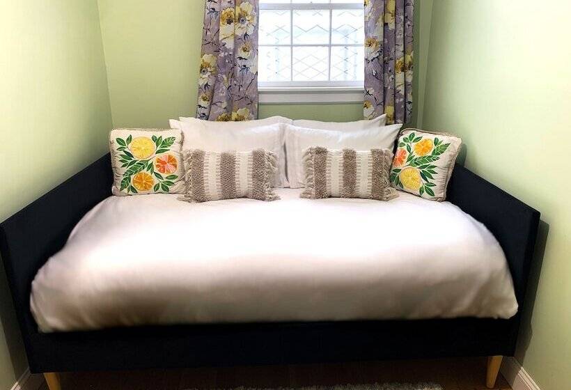 اتاق اکونومی, Lotus Provincetown