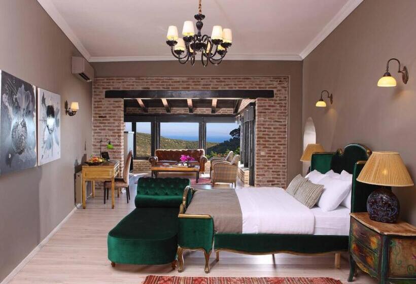 Suite, Manici Kasri