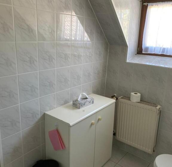 StandaardKamer, łomniczanka