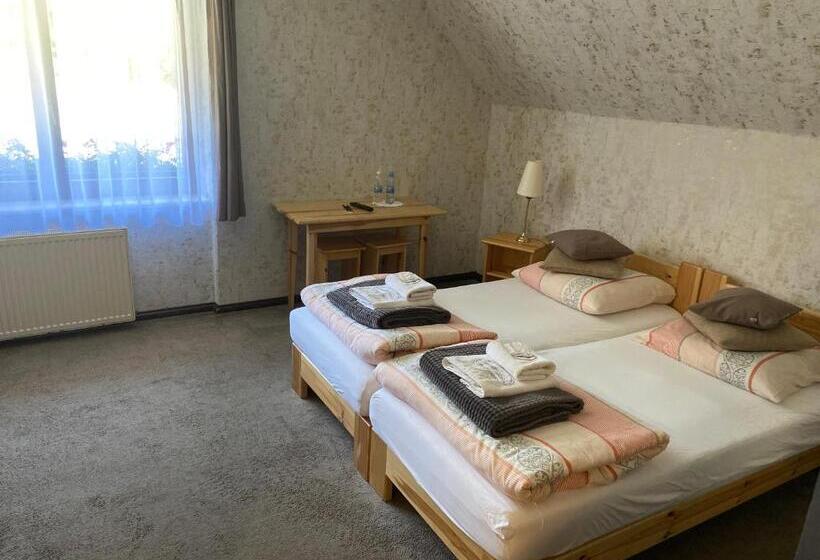 StandaardKamer, łomniczanka