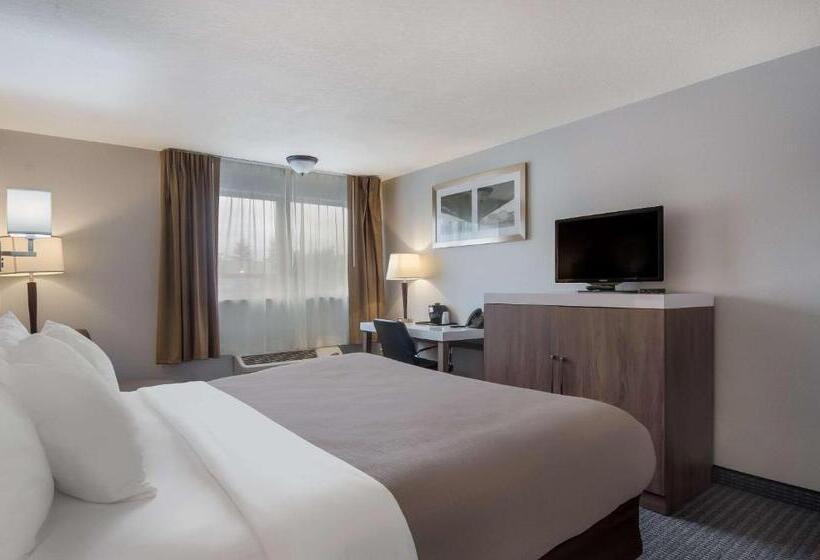 Номер Стандарт Кровать Кинг Адаптированный для Инвалидов, Quality Inn & Suites Silverdale Bangor Keyport