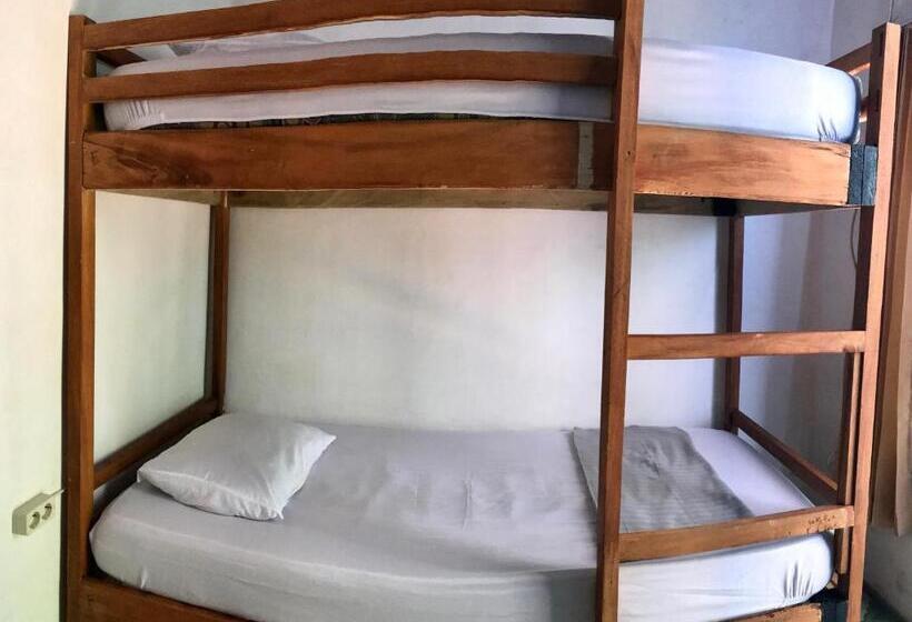 Номер Basic, The House Hostel
