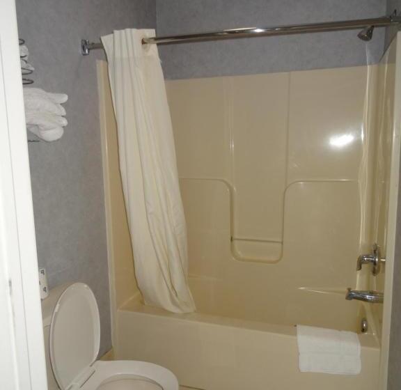 Номер Deluxe Кровать Кинг, Village Inn And Suites