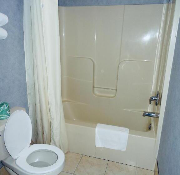 Номер Deluxe Кровать Кинг, Village Inn And Suites