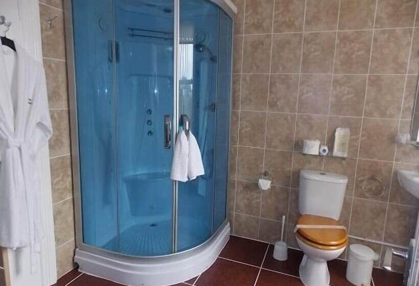Номер Superior, Easton Court Guest House