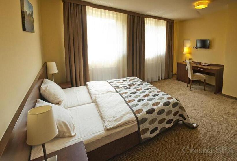 标准间, Pensjonat Crosna Spa