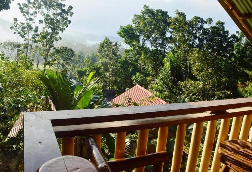 اتاق استاندارد یک نفره, Victordelia Hilltop Hostel