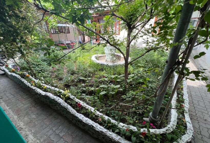 استودیو خانوادگی, Lovely Home For You
