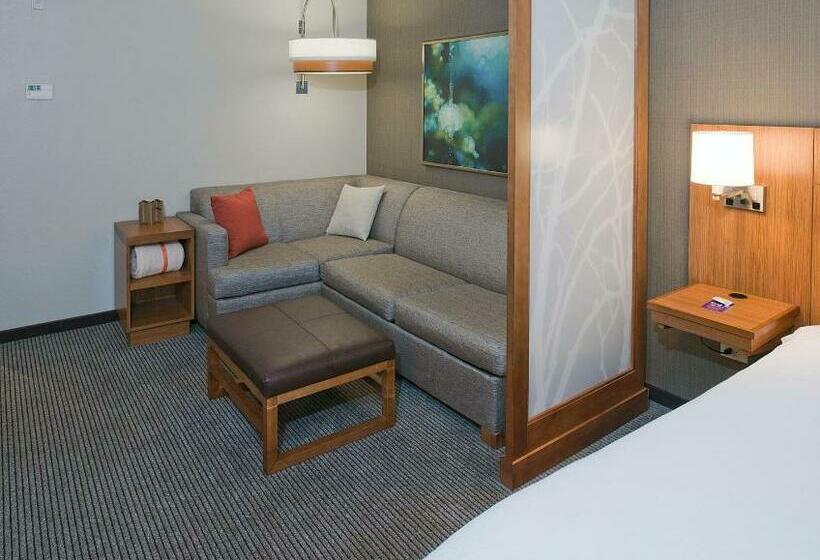 장애인을 위한 킹사이즈 침대 스탠다드 룸, Hyatt Place Bloomington / Normal