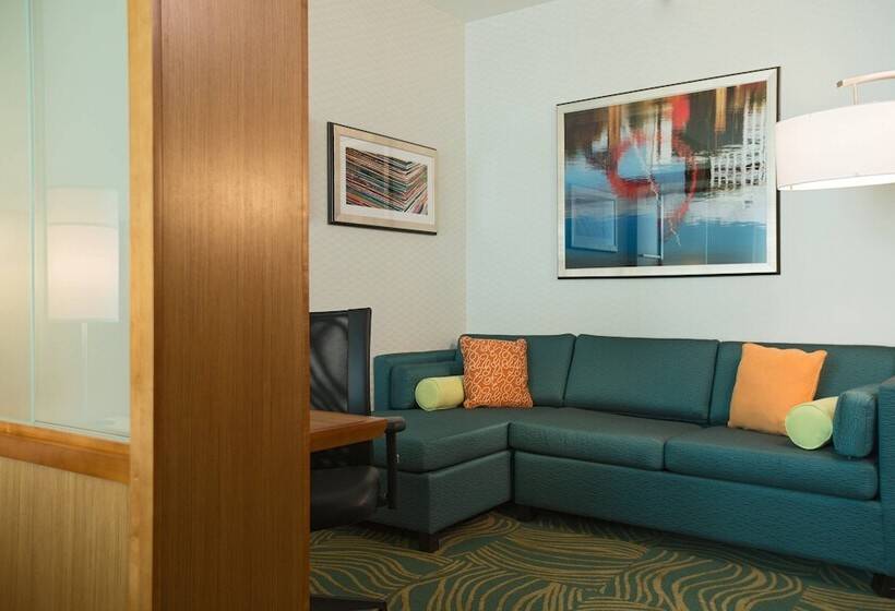 Люкс, Springhill Suites By Marriott Nashville Vanderbilt/west End