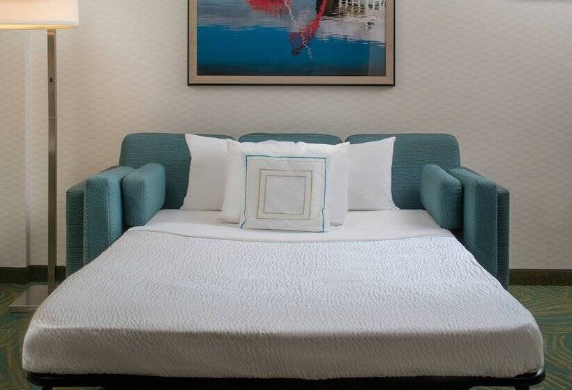 Люкс, Springhill Suites By Marriott Nashville Vanderbilt/west End