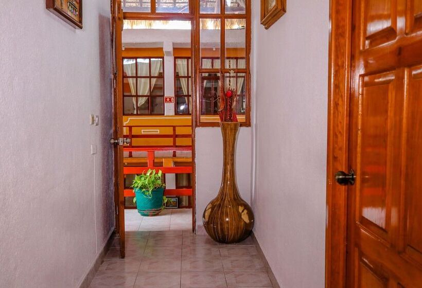 Quarto Quádruplo Estandar, Bello Caribe