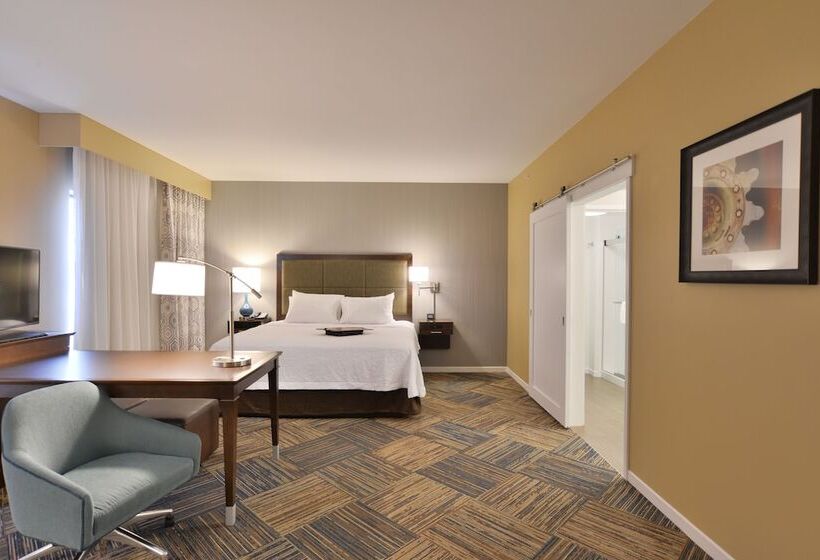 스탠다드 룸 킹사이즈 침대, Hampton Inn & Suites Chippewa Falls