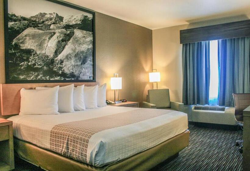 חדר דלוקס עם מיטת קינג, Spark By Hilton Midland South