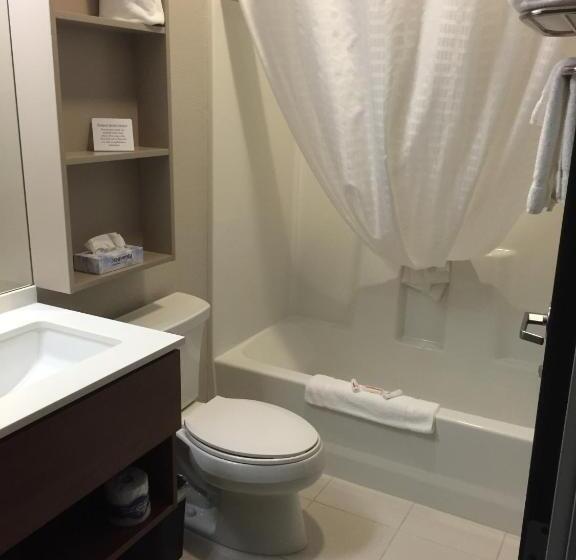 Номер Стандарт, Microtel Inn & Suites By Wyndham Sweetwater
