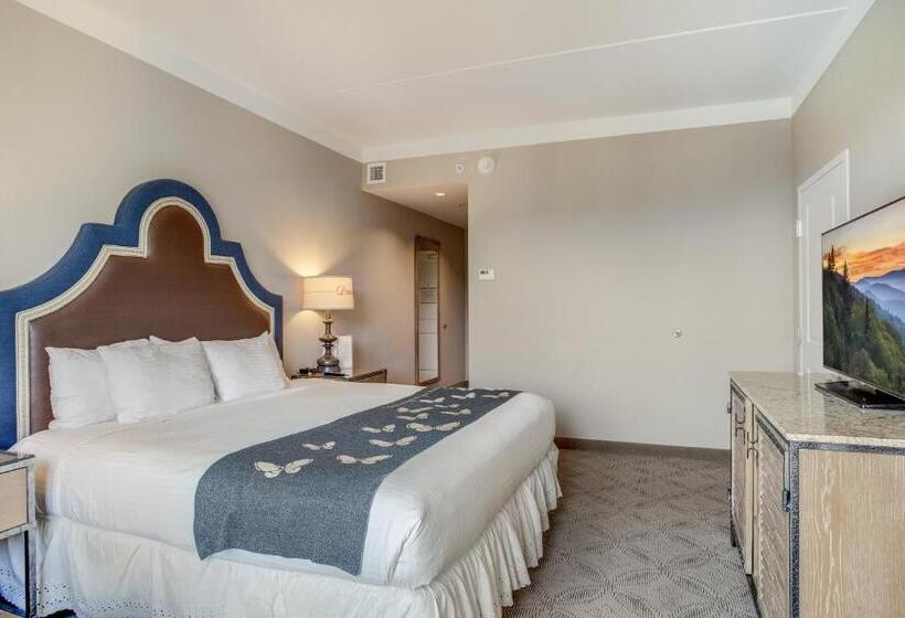 Номер Deluxe Кровать Кинг, Dollywood's Dreammore Resort And Spa