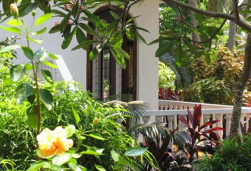 套房带园景, Albuquerque Betterhomes, Goa