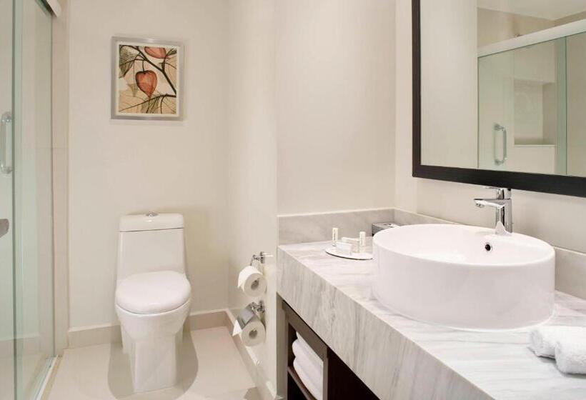 Studio Standard Widok Miasto, Fairfield Inn & Suites By Marriott Villahermosa Tabasco