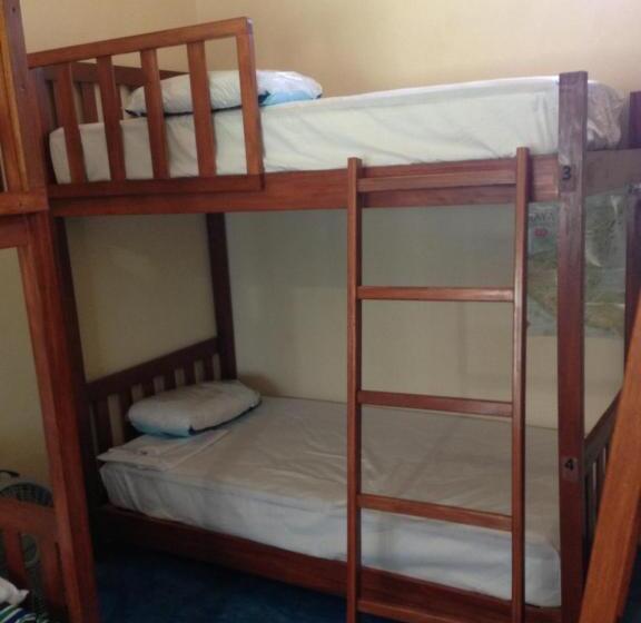 ルームシェアのワンベッド, Yaxche Centro Hostal Y Camping