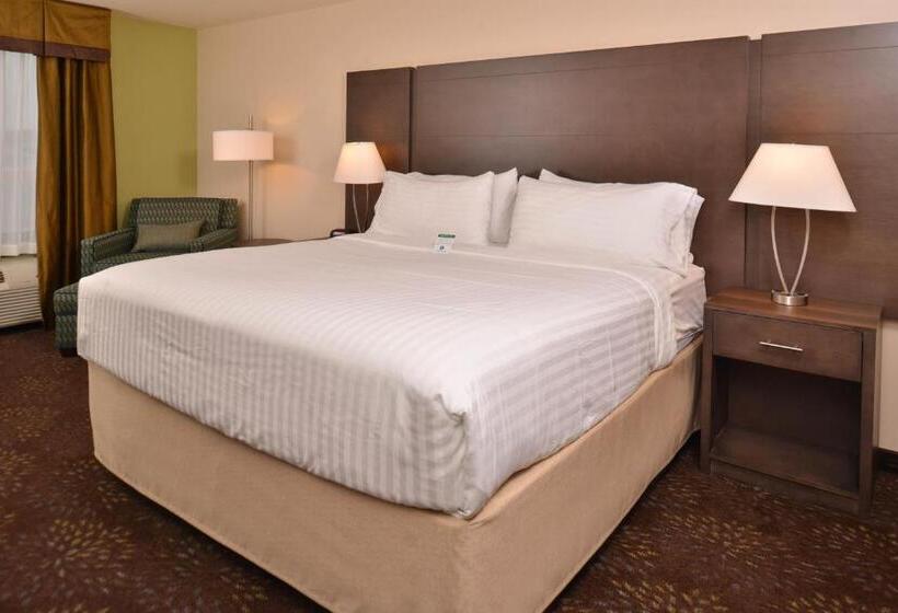 Стандартный Номер Кровать Кинг, Holiday Inn Express & Suites Dearborn Sw   Detroit Area, An Ihg
