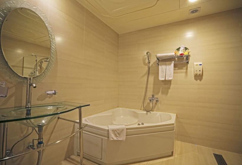 Номер Deluxe, Metro Tourist Hotel Cheonan