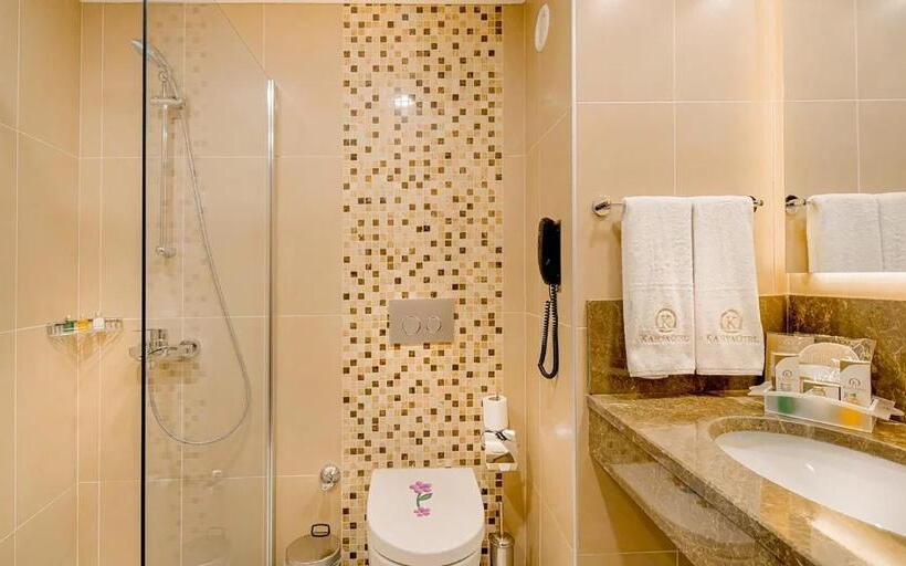 豪华房间, Mercure Ankara Kızılay