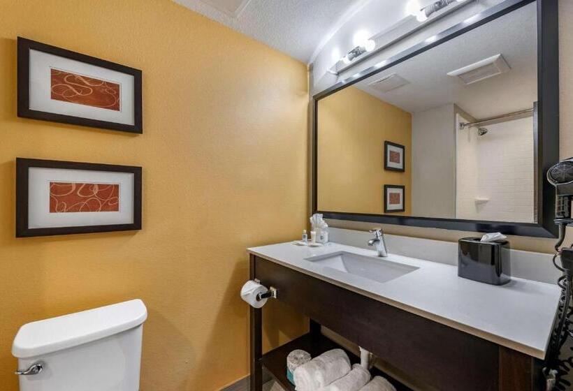 Люкс Кровать Кинг, Comfort Suites Fort Lauderdale Airport South & Cruise Port