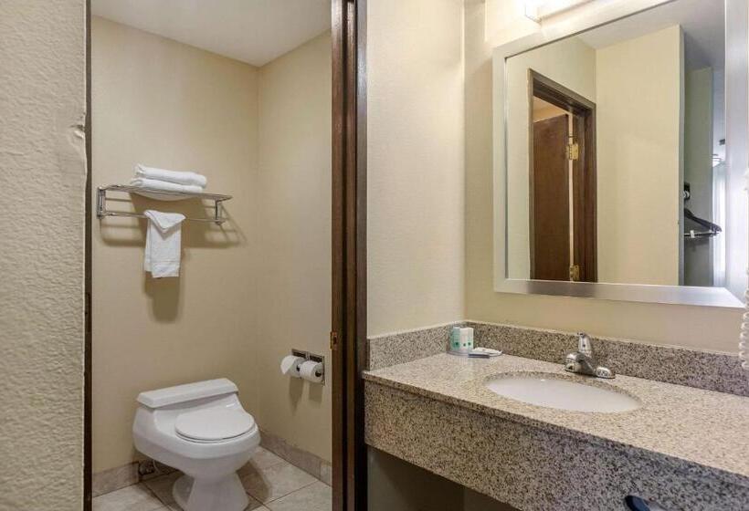 חדר סטנדרט עם מיטת קינג, Quality Inn