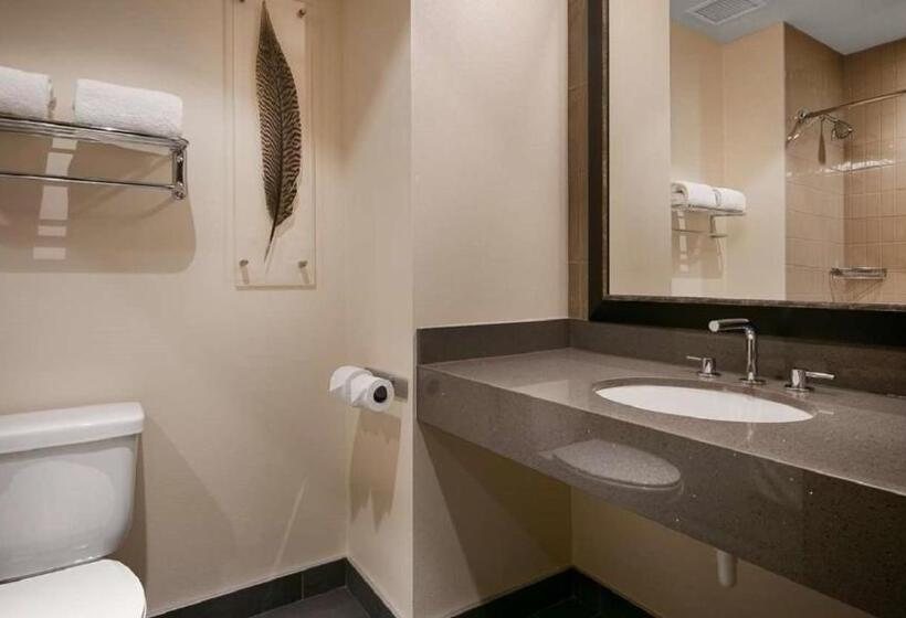 장애인을 위한 스탠다드 룸, Best Western Premier Boulder Falls Inn