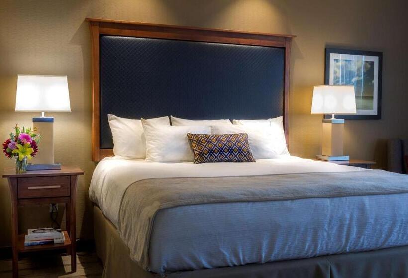 스탠다드 룸 킹사이즈 침대, Best Western Premier Boulder Falls Inn