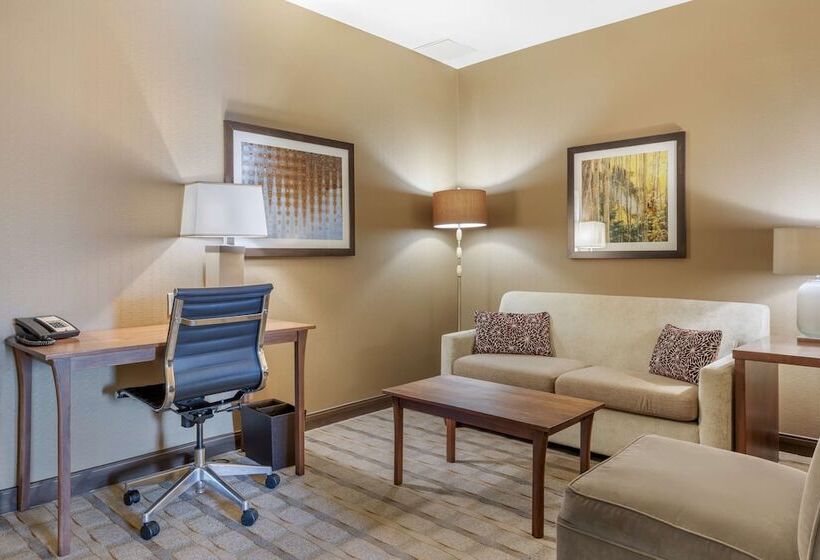 스위트, Best Western Premier Boulder Falls Inn