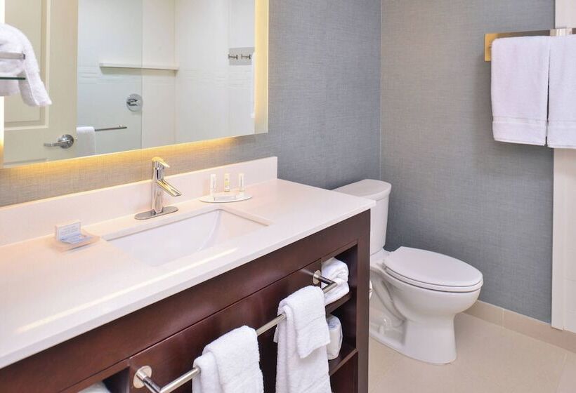 Люкс, Residence Inn By Marriott Cedar Rapids South