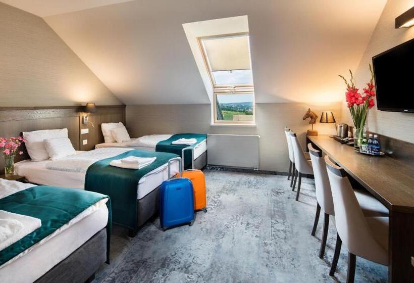 Номер Стандарт Трехместный, Szary Residence