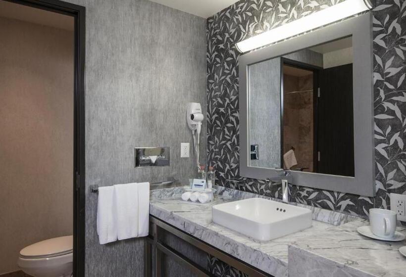 اتاق استاندارد با چشم‌انداز باغ, Holiday Inn Express & Suites Queretaro, An Ihg