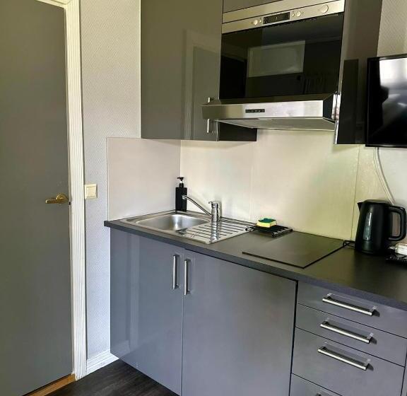 Апартаменты 1 Спальня, Oslo Airport, Nordic Budget Apartments