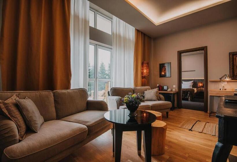 سوئیت 2 خوابه, Balvanyos Resort   Peakture Hotel & Grand Hotel Balvanyos