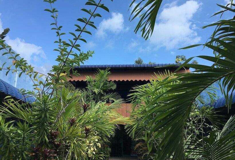 اتاق استاندارد, The Box Chalet
